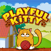 Playful Kitty